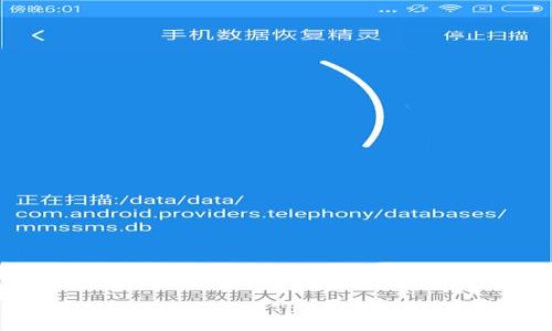 打破传统，解锁Plus Toke数字钱包的潜力！