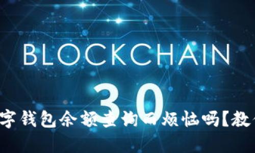 你还在为数字钱包余额查询而烦恼吗？教你轻松搞定！