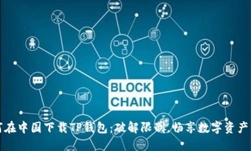 如何在中国下载TP钱包：破解限制，畅享数字资产管理