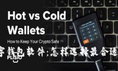 区块链数字钱包软件：怎样选择最合适的那一款