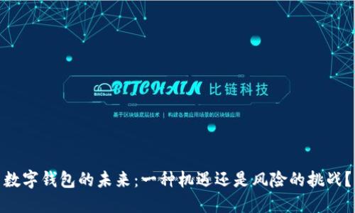 数字钱包的未来：一种机遇还是风险的挑战？