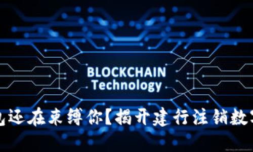 你的数字钱包还在束缚你?揭开建行注销数字钱包的秘密
