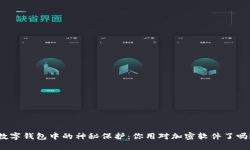 数字钱包中的神秘保护:你用对加密软件了吗?