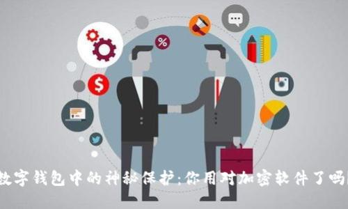 数字钱包中的神秘保护:你用对加密软件了吗?