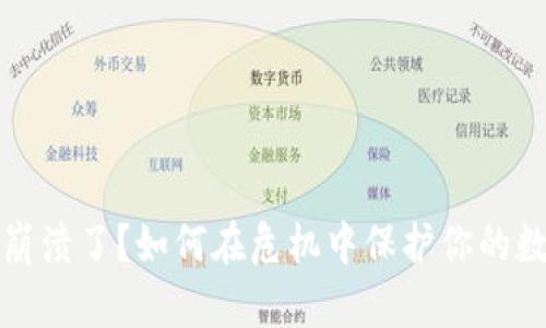 TP钱包崩溃了?如何在危机中保护你的数字资产