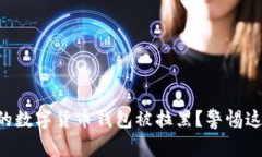 为何你的数字货币钱包被拉黑？警惕这些隐患！