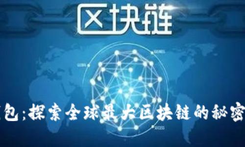 雷达钱包:探索全球最大区块链的秘密与挑战