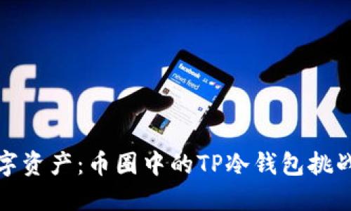 保护你的数字资产:币圈中的TP冷钱包挑战与解决方案