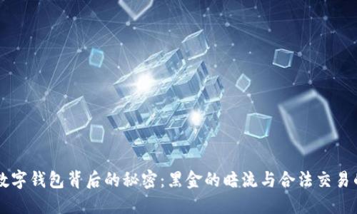 中国数字钱包背后的秘密：黑金的暗流与合法交易的较量