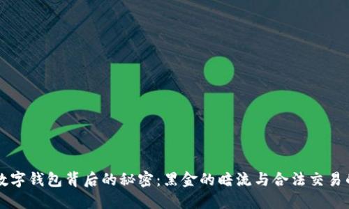 中国数字钱包背后的秘密：黑金的暗流与合法交易的较量