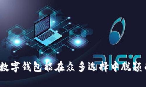 哪款数字钱包能在众多选择中脱颖而出？