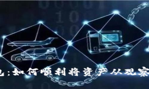 破解TP钱包:如何顺利将资产从观察钱包转出?