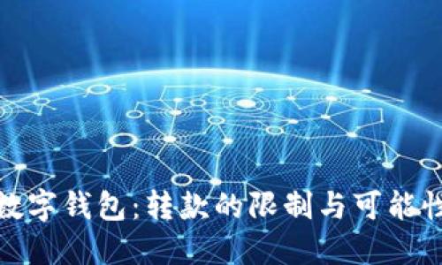 二类数字钱包:转款的限制与可能性揭秘