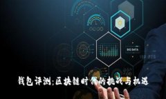 钱包评测：区块链时代的挑战与机遇