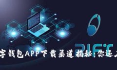 ibaoti数字钱包APP下载渠道揭秘：你还在犹豫吗？