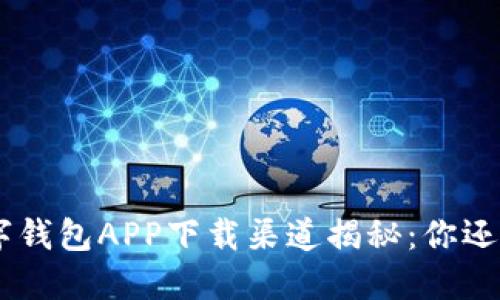ibaoti数字钱包APP下载渠道揭秘：你还在犹豫吗？