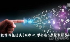 数字钱包遗失？别担心，学会这5步轻松补办！