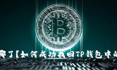 你的币去哪了?如何成功找回TP钱包中的丢失资产