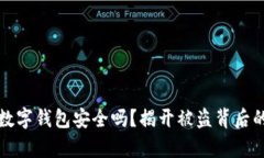 你的数字钱包安全吗？揭开被盗背后的真相