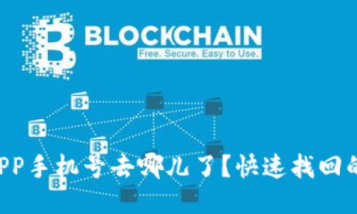 你的TP钱包APP手机号去哪儿了？快速找回的方法大揭秘！