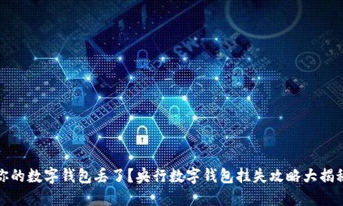 你的数字钱包丢了?央行数字钱包挂失攻略大揭秘