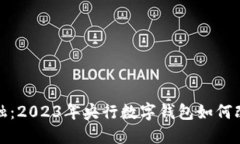 挑战传统金融：2023年央行数字钱包如何改变您的