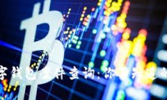 破解南安数字钱包案件查询：你不知道的真相与