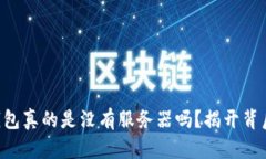 区块链钱包真的是没有服务器吗？揭开背后的真