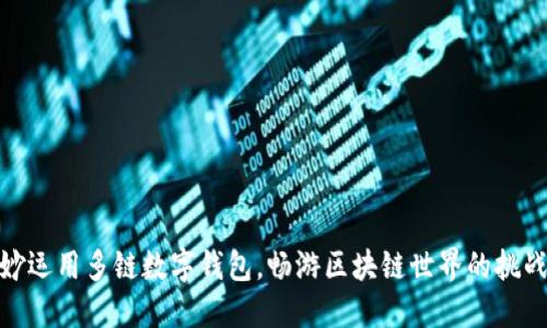 如何巧妙运用多链数字钱包，畅游区块链世界的挑战与机遇