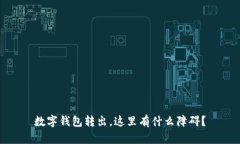 数字钱包转出，这里有什么障碍？