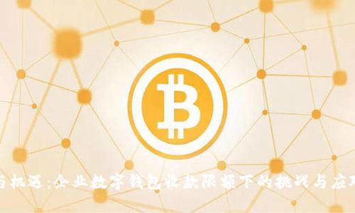 限制与机遇：企业数字钱包收款限额下的挑战与应对策略