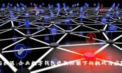 限制与机遇：企业数字钱包收款限额下的挑战与
