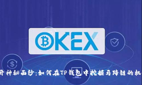 揭开神秘面纱：如何在TP钱包中挖掘马蹄链的机会？