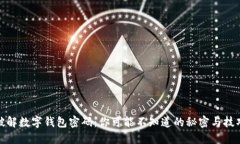 破解数字钱包密码：你可能不知道的秘密与技巧