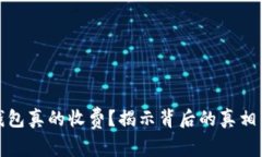 数字钱包真的收费？揭示背后的真相与挑战