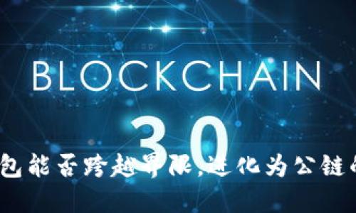 数字钱包能否跨越界限,进化为公链的未来?