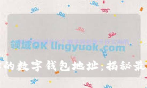 如何找到你的数字钱包地址：揭秘最常见的疑惑