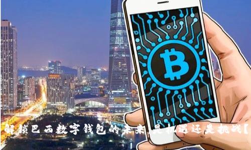 解锁巴西数字钱包的未来:是机遇还是挑战?