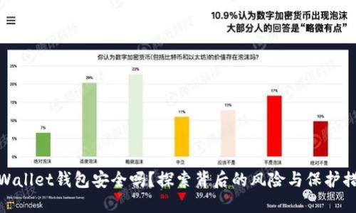 TPWallet钱包安全吗?探索背后的风险与保护措施