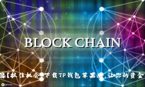 为何你还在犹豫？抓住机会，下载TP钱包苹果版，让你的资金安全如影随形！