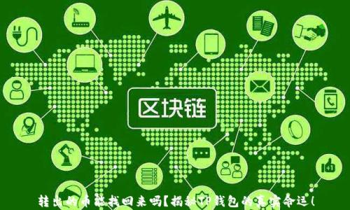 转出的币能找回来吗?揭秘TP钱包的真实命运!