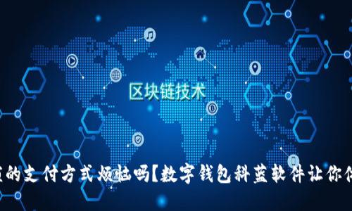 你还在为繁琐的支付方式烦恼吗?数字钱包科蓝软件让你体验无忧支付!