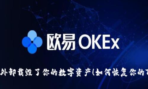 别让意外卸载毁了你的数字资产！如何恢复你的TP钱包？
