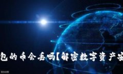 区块链钱包的币会丢吗？解密数字资产安全的真