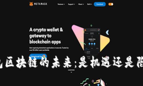 钱包区块链的未来:是机遇还是陷阱?