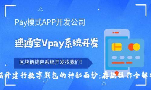 揭开建行数字钱包的神秘面纱:存款操作全解析